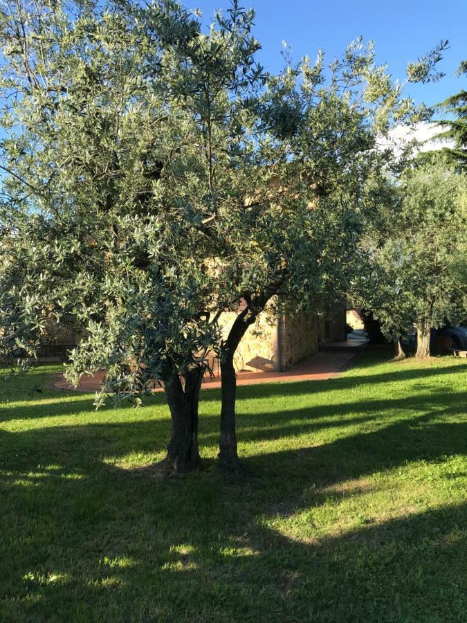 דירות מונטאיונה La Casina Rosella מראה חיצוני תמונה